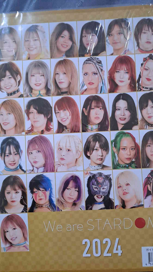 STARDOM Guidebook Vol. 150